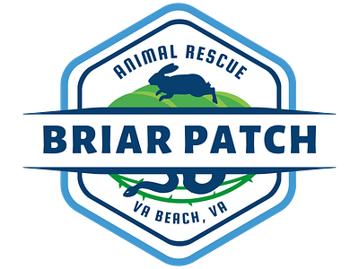 Briar Patch Animal Rescue- Branding branding graphic design logo