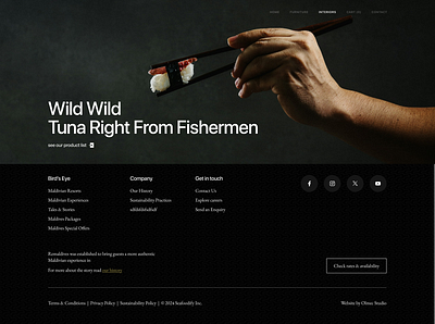 Wild Tuna Footer app application branding design figma illustration ui ux website