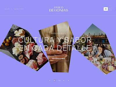 Paseo Begonias 🛍️ 🍣🍹 - Website begonias design graphic design mall ui ux web website