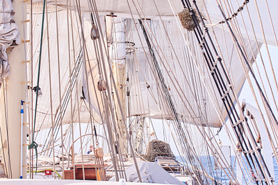 Under The Chopins’ Sails photo photography