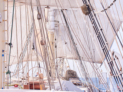 Under The Chopins’ Sails photo photography