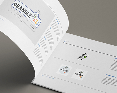 CRANDLE SEL brand guidelines brand strategy identity system logo sel branding social emotional learning visual identity