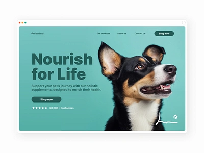 Pet supplement brand - website design animal animal website dog dog website graphic design hero section pet design pet health pet supplement pet website pets web design