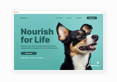 Pet supplement brand - website design animal animal website dog dog website graphic design hero section pet design pet health pet supplement pet website pets web design