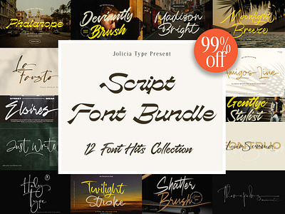 The Script Bundle | Jolicia Type brush brush font font font bundle sale script script font bundle wedding font bundle