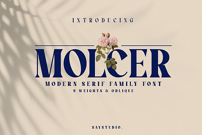 Molcer - Modern Serif Family Font beauty font branding branding dont classy classy font display elegant elegant font elegant serif family family font fashion fashion font font luxury luxury font modeern font serif serif family serif font