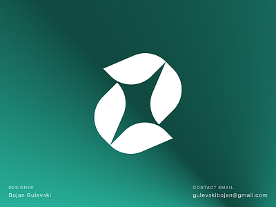 Spark + Flower Logo bloom burst flare ignite light logo design logomark nature shine symbol