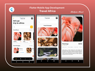 Travel Africa - Mobile App (Flutter) android animations branding dart design flutter flutter development getx illustration ui