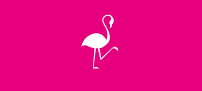 Flamingo Gold Branding Animation 3d animation branding graphic design logo motion graphics