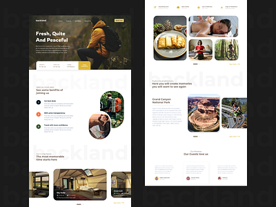 Backland Homepage ui