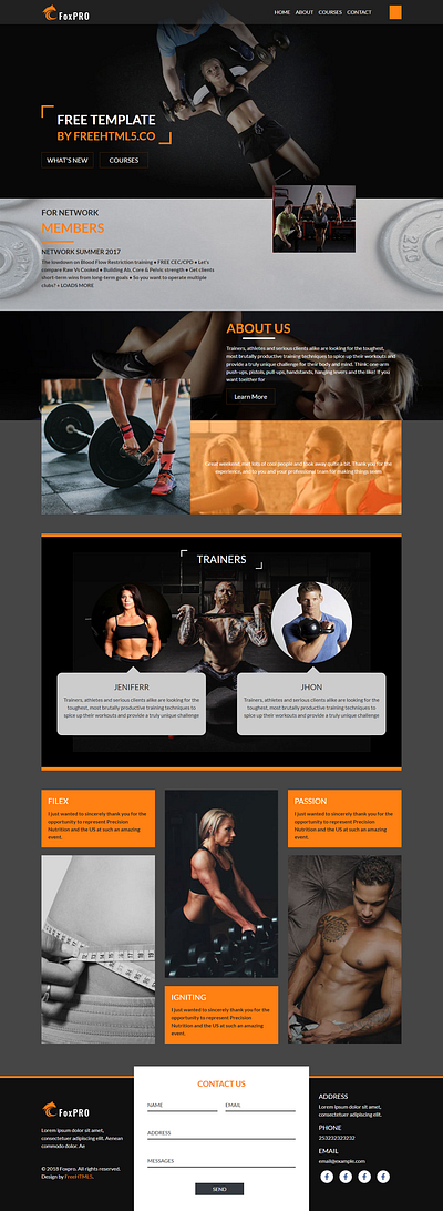 Modern Gym Website graphic design modern gym website ui