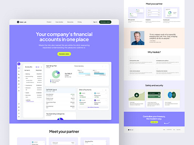 SaaS Landing Page landing page saas