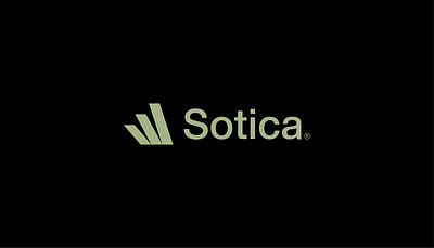 Sotica® Logo & Identity brand identity graphic design illustration logo