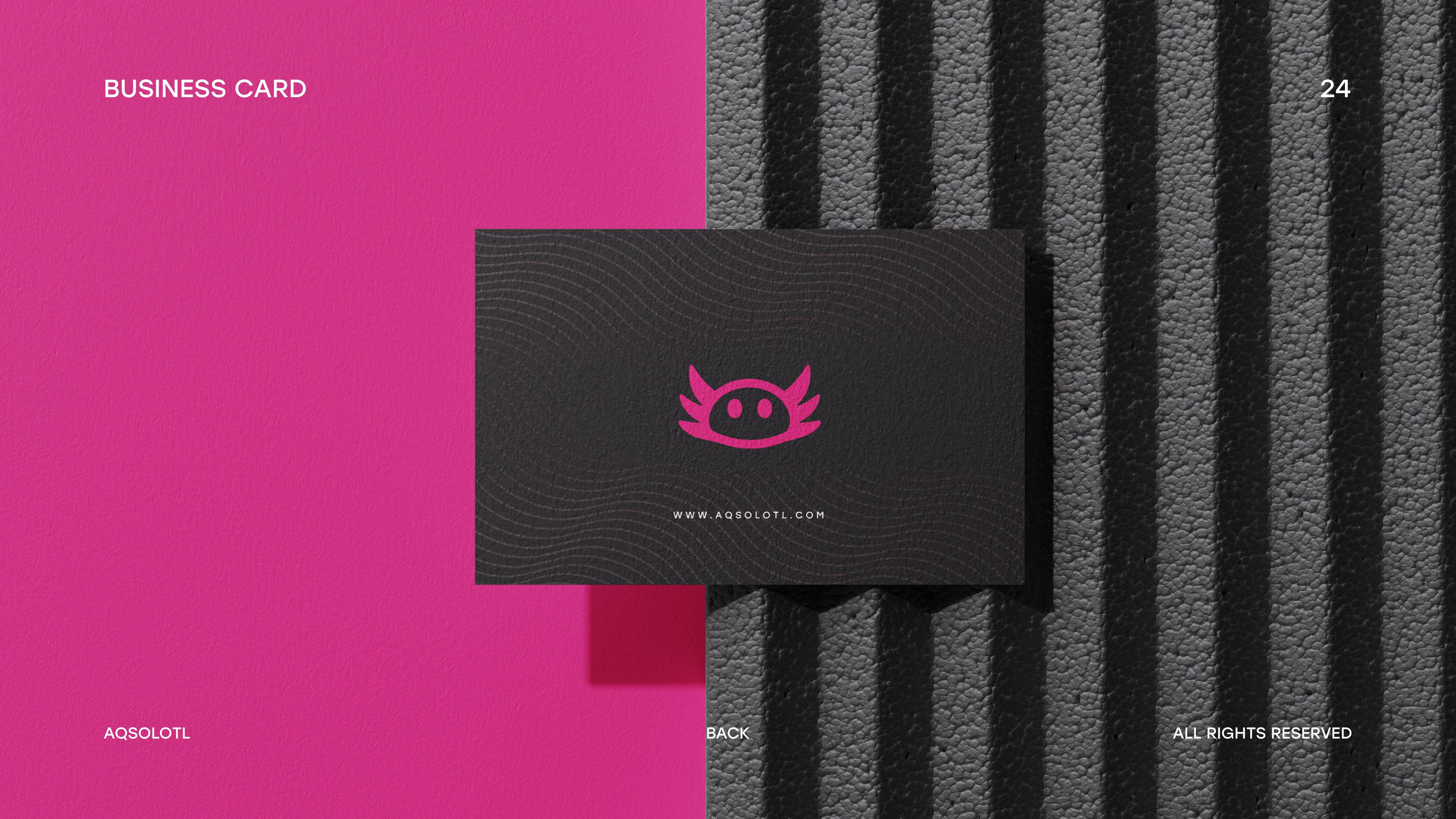 AQSOLOTI -Logo Design with visual identity 3d animation graphic design logo motion graphics ui