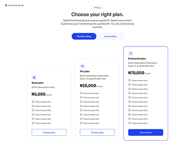 Pricing💫 ui