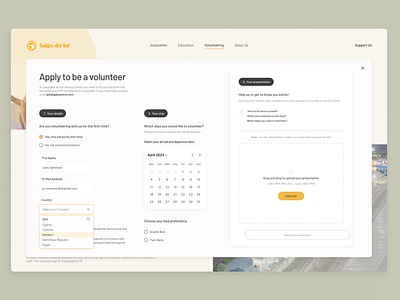 Volunteer Application Form application digitaldesign dogrescue form redesign uiux