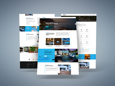 Pioneer branding web design