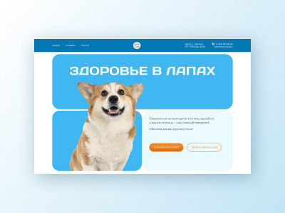 Landing page animals design landing