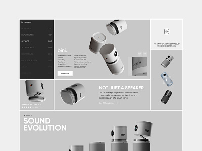 Website Design. Bini Speaker design ecommerce landing sound speaker ui ux voice web website