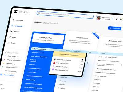 Blockchain Pricing: A User-Friendly Approach 2024 blockchain design interface neel litoriya neelpari price plan price plan comparison saloneel saloni ui ui design ux ux research