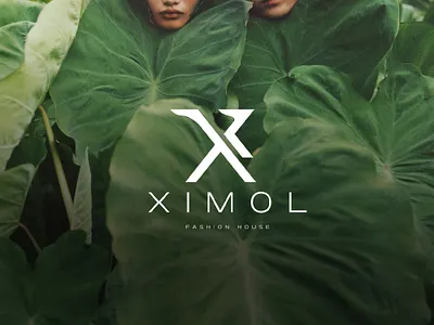 XL Logo 3d branding graphic design logo motion graphics