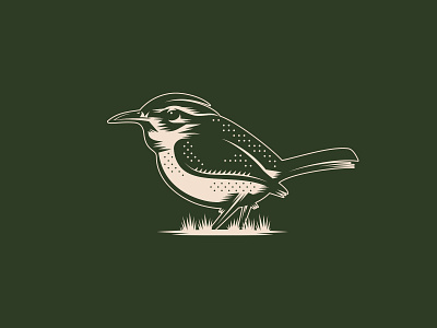 Carolina Wren bird design illustration vector wren