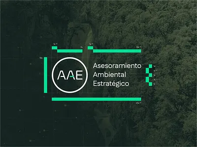 AAE Brand Identity - Environmental Consulting brand identity branding color palette consulting design environmental consulting figma illustrator logo logo design visual identity