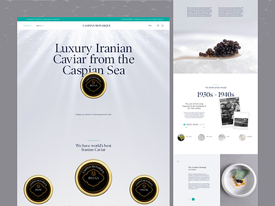 Caspian Monarque | Ecommerce branding graphic design logo ui ux web design