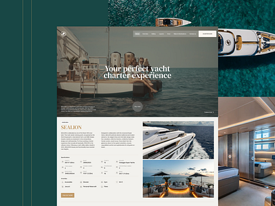 SeaLion branding logo ui ux web design