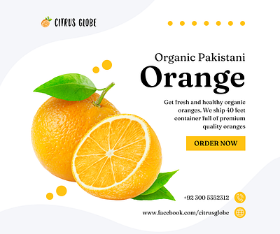 Citrus Globe Ad