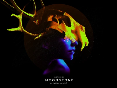 Moonstone [Demon hunter of Derelict Planet] photo photomontage