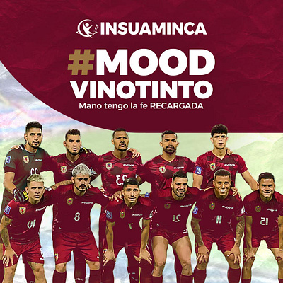 MOOD VINOTINTO branding diseño graphic design logo motion graphics ui