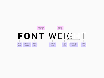 Font Weight Typograph daily ui dailyui font weight font weight typograph typograph ui challenge ui component ui design ui inspiration uiux