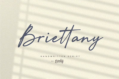 Briettany Font elegant font handletter handwritten script font signature typeface typography