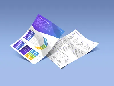 Novant - One pager Flyer brochure corporate brochure executive summery flyer funding graphic design investment one pager