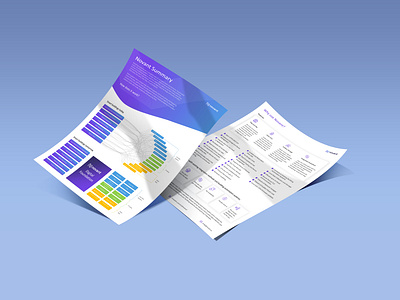 Novant - One pager Flyer brochure corporate brochure executive summery flyer funding graphic design investment one pager