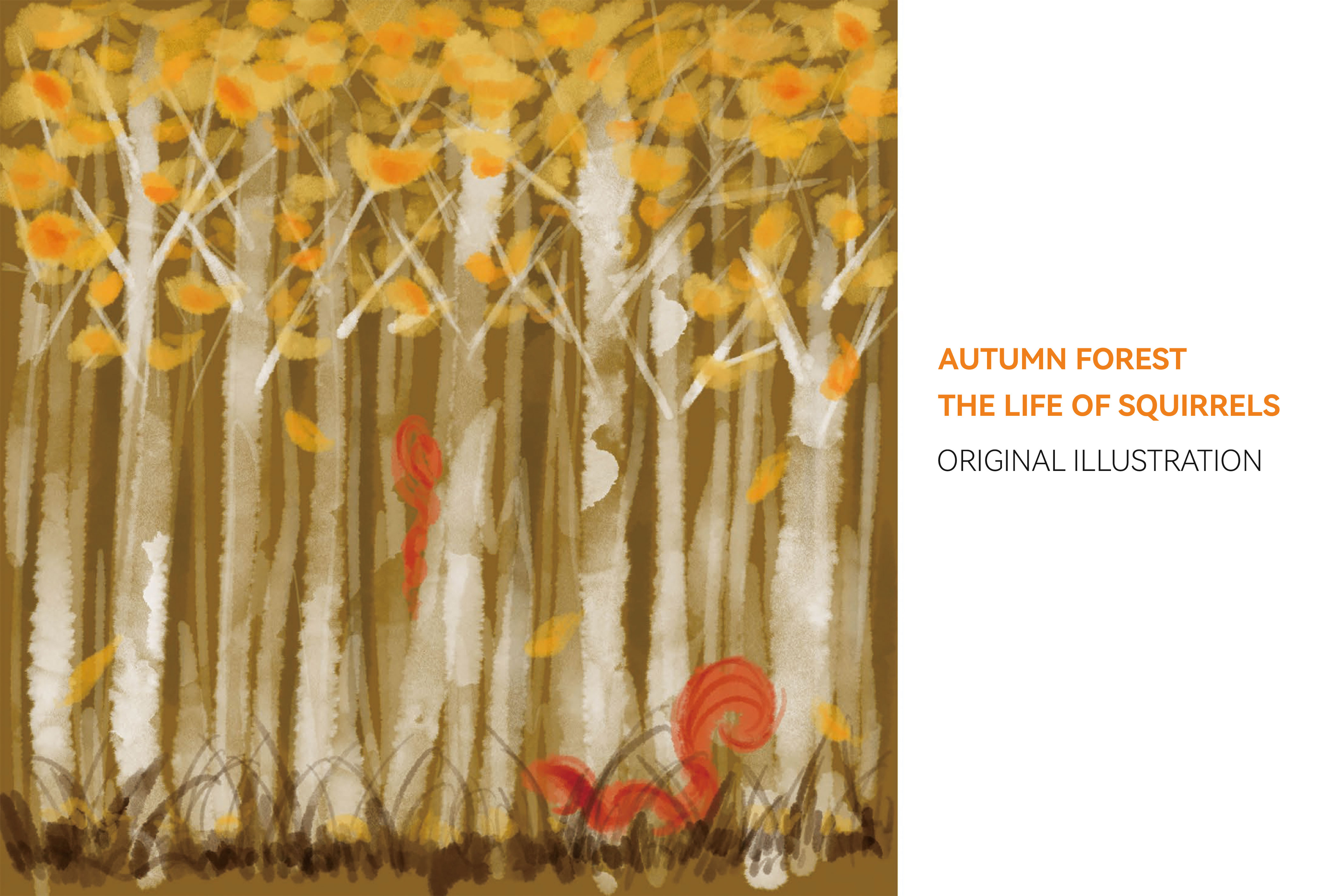 The life of squirrels design graphic design illustration