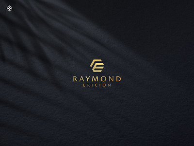 Raymond Ericion 3d animation branding graphic design logo motion graphics ui