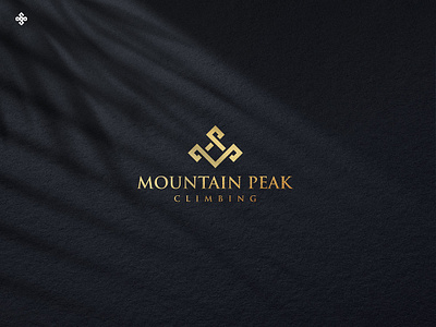 Mountain Peak Climbing 3d animation branding graphic design logo motion graphics ui