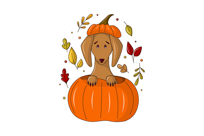 Illustration of the dachshund in the pumpkin autumn dachhund doodle flat illustration illustration pumpkin vector