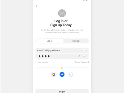 Log in Page high fidelity wireframe illustration ui ux