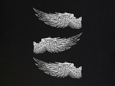 Wings Engraving Illustration badge design black and white illustration branding design emblem design engraving illustration illustration vintage illustration wings wings illustration