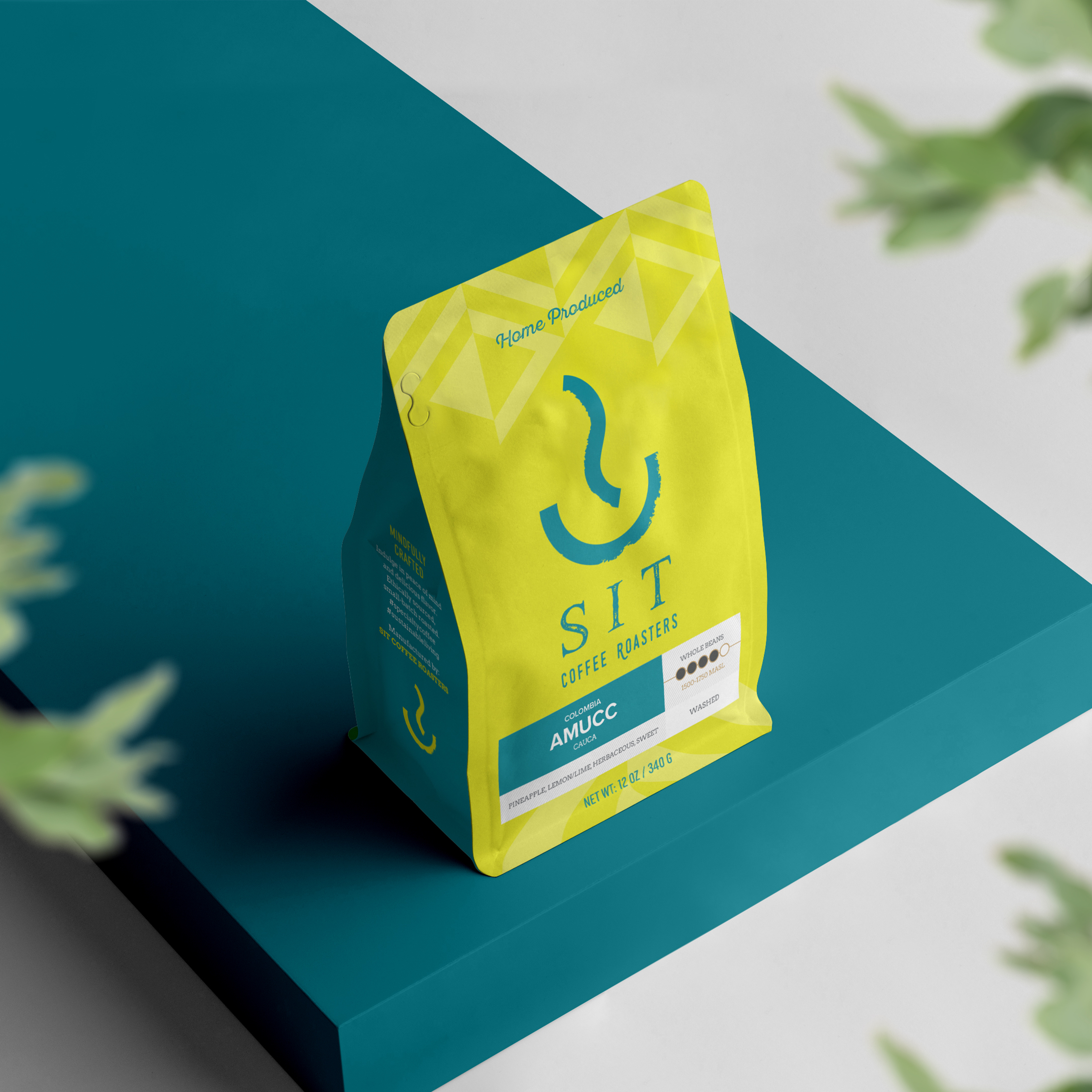 Example of Elegant Packaging Design