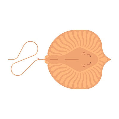 Giant Freshwater Stingray fish graphic design illustration marinelife ocean