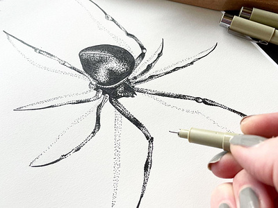 Pen & Ink Spider arachnid black black pen dotwork drawing gothic halloween hand drawn ink inktober insect micron pen pen and ink pointilism scary spider spooky stipple tattoo