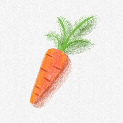 Carrot carrot illustration