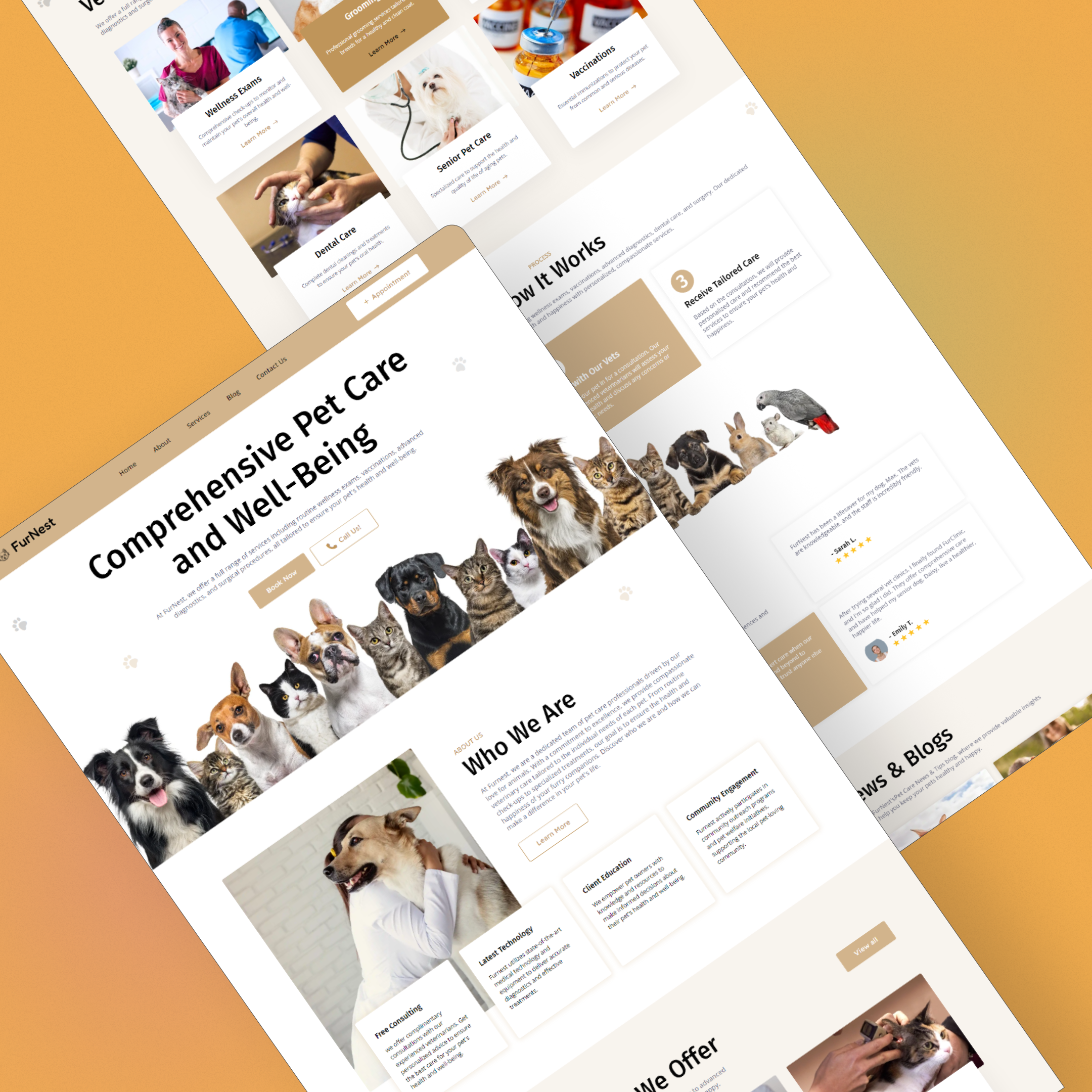 Example of Pet Care Website Design & Development