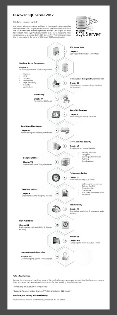 Infographic Design graphic design