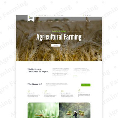 Farming Landing Page landing page ui web design