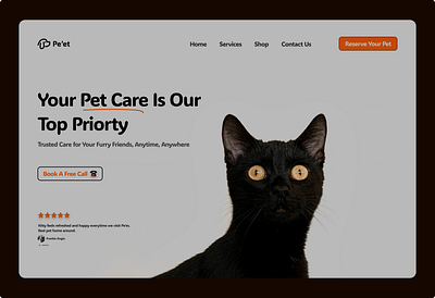 An online pet shop exploration branding design graphic design illustration logo typography ui ux vector